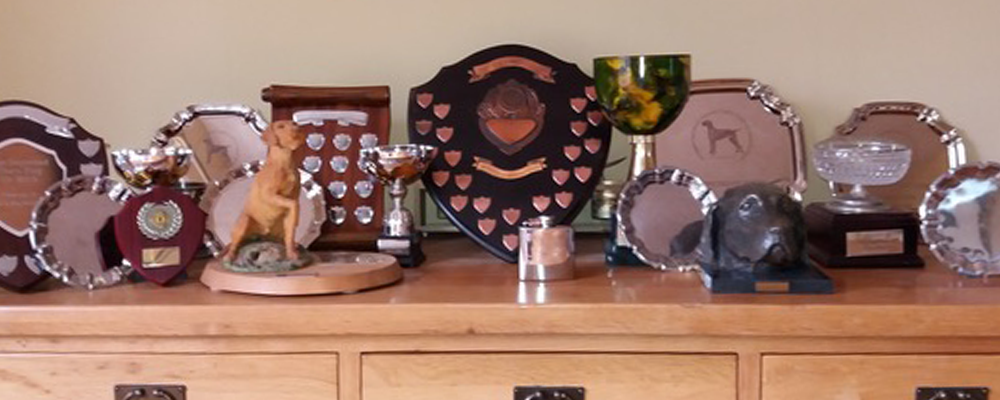 Trophies